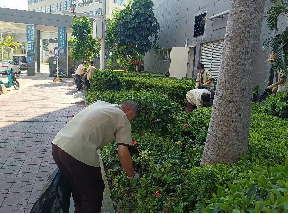 公園保潔工作流程及標準有哪幾個方面？